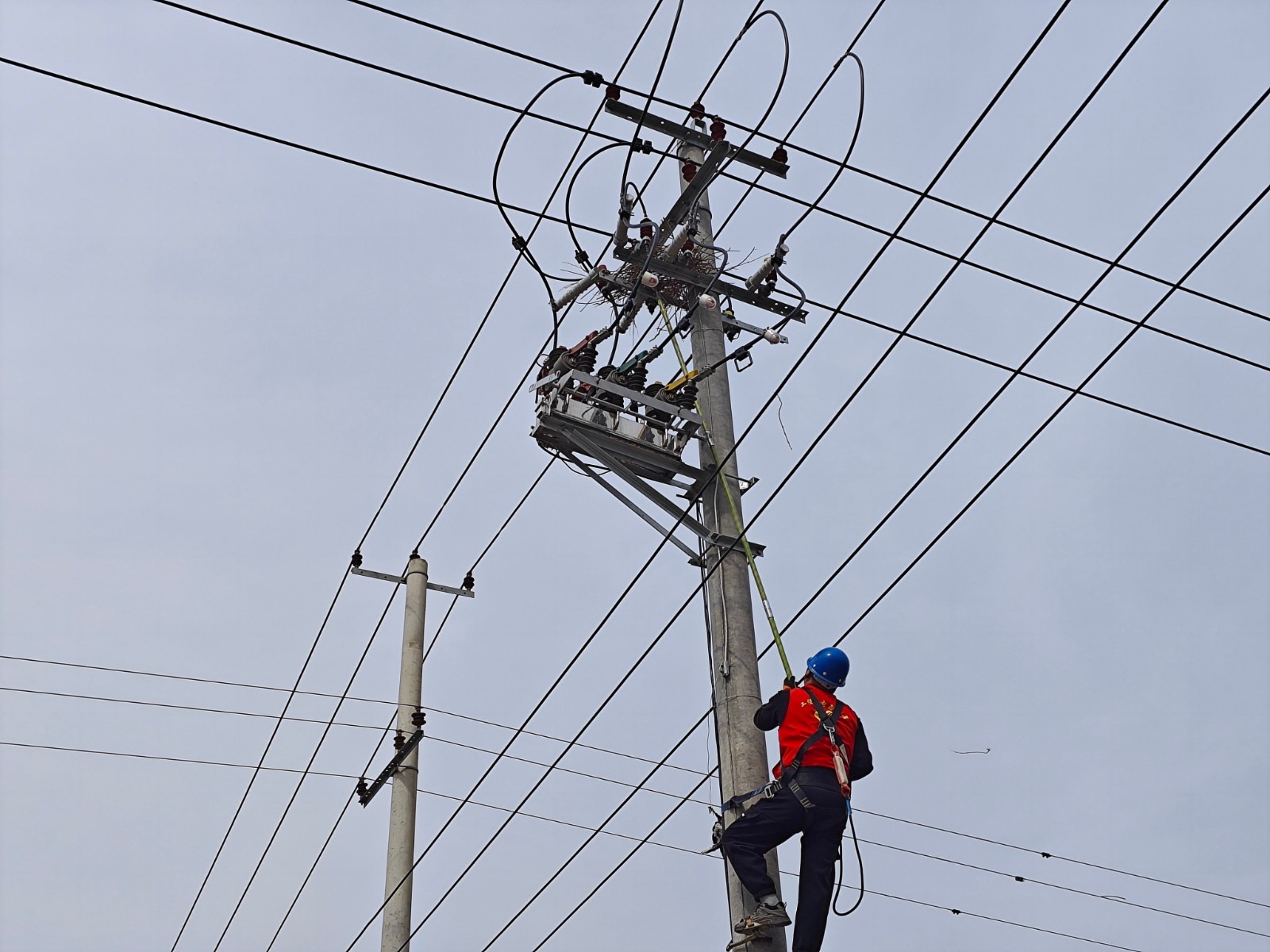 1711417392314076734.jpg 清除鳥(niǎo)窩專(zhuān)項(xiàng)行動(dòng)1.jpg